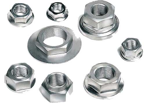 StainlessSteelNuts